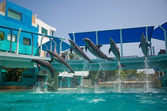 Parque Maya Cancun